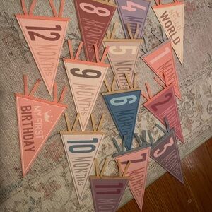 Colorful Monthly Milestone Banner for Baby's First Year